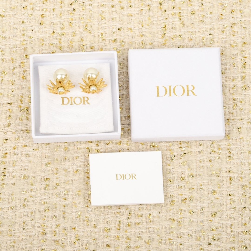 chr1st1an D10r earrings